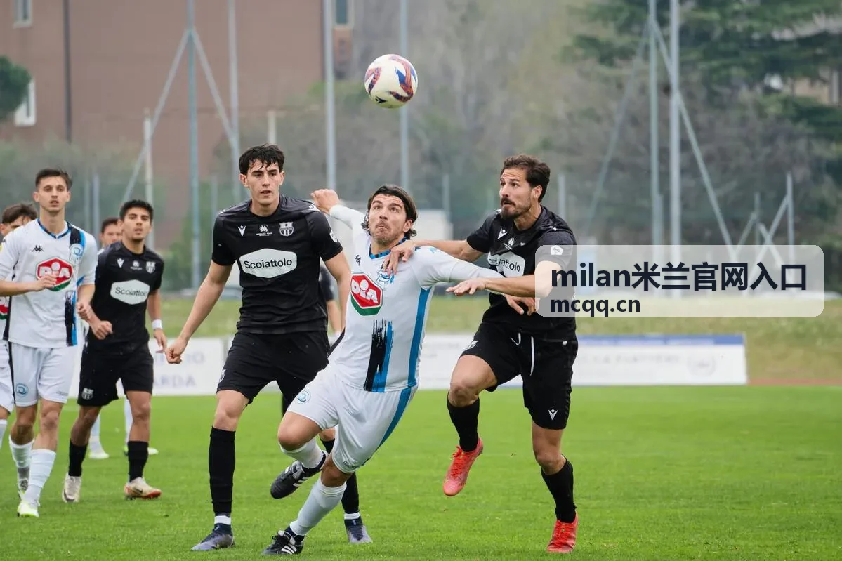 milan米兰官网入口品牌展示案例